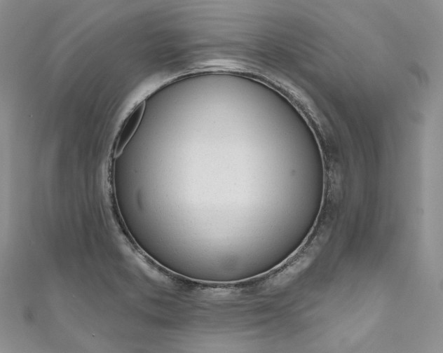 X0000110901373200907021529