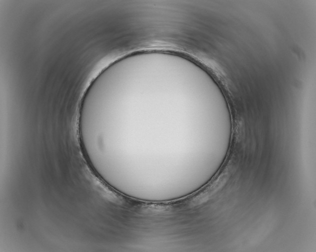 X0000110901374200907021529