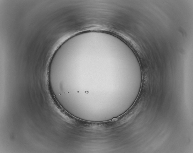 X0000110901375200907021529