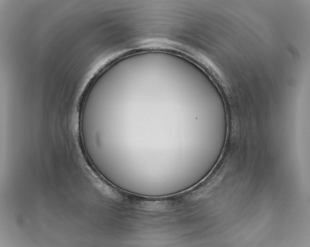 X0000110901376200907021529