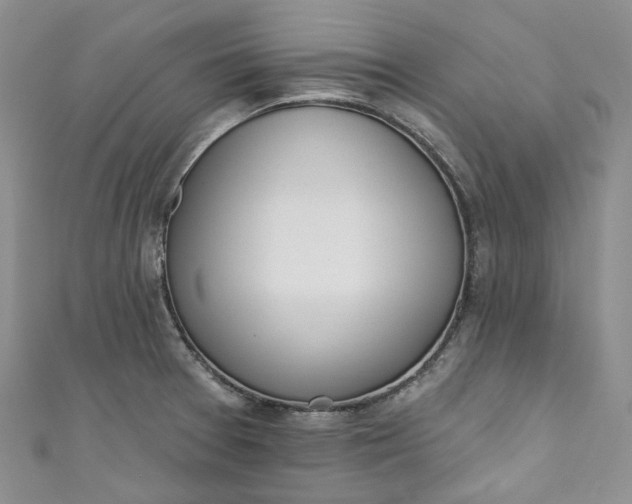 X0000110901377200907021529