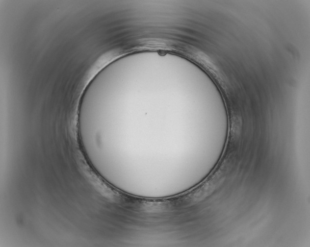 X0000110901378200907021529