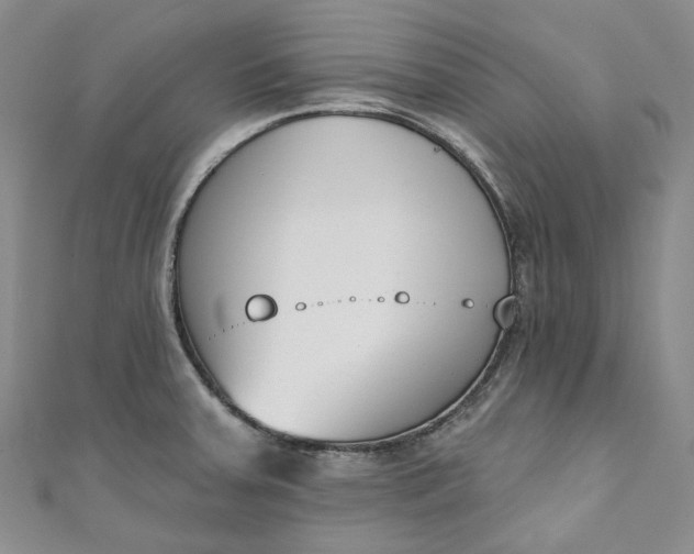 X0000110901379200907021529