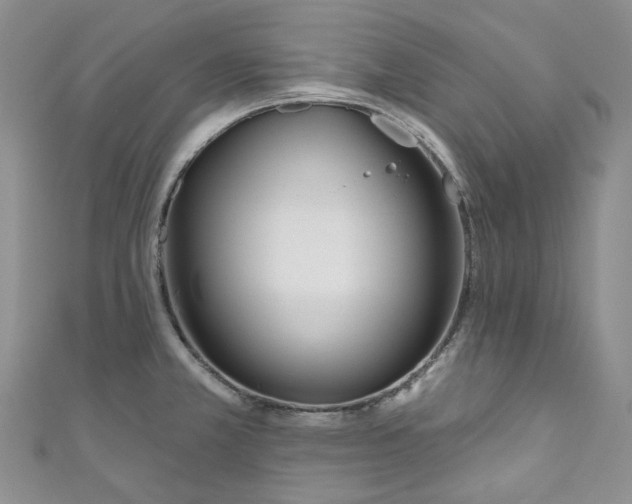 X0000110901381200907021529