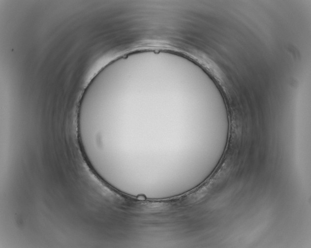 X0000110901382200907021529