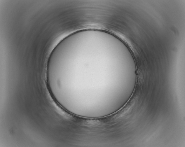 X0000110901383200907021529