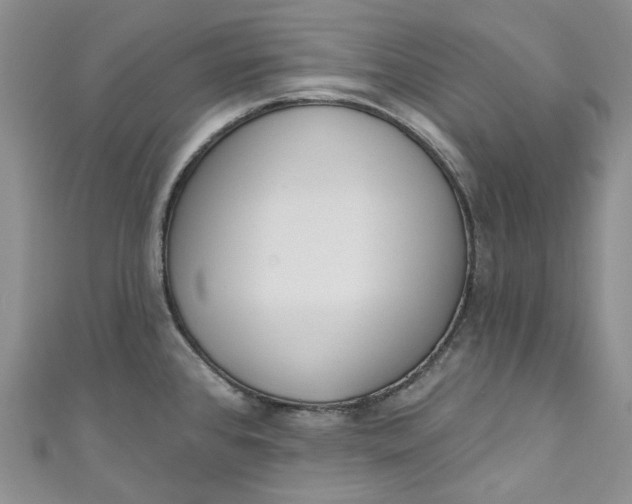 X0000110901384200907021529