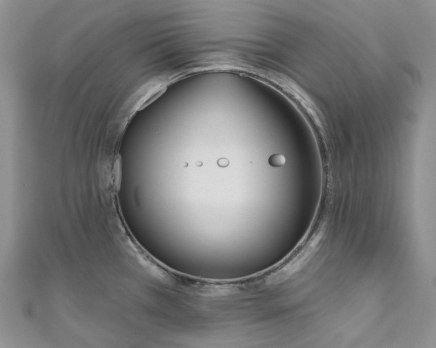 X0000110901385200907021529