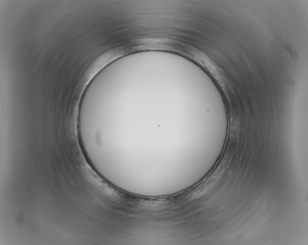 X0000110901386200907021529