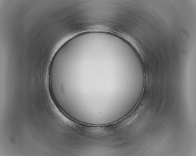 X0000110901387200907021529
