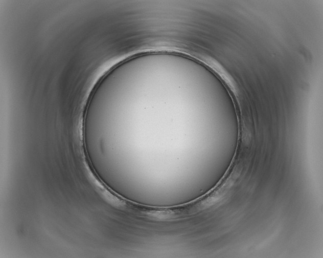 X0000110901388200907021529