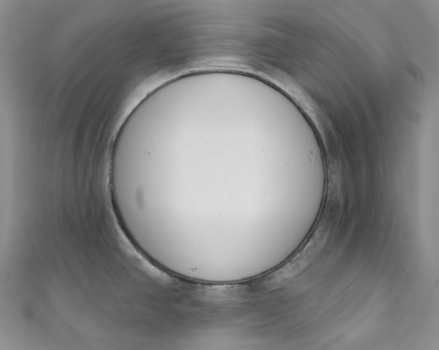 X0000110901390200907021529
