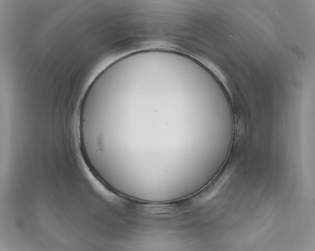X0000110901391200907021529