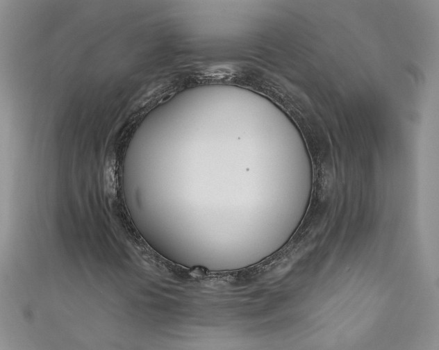 X0000110901394200907021528