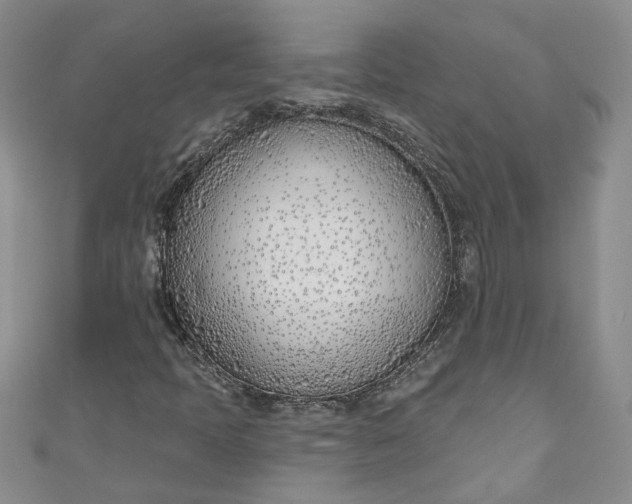 X0000110901397200907021528