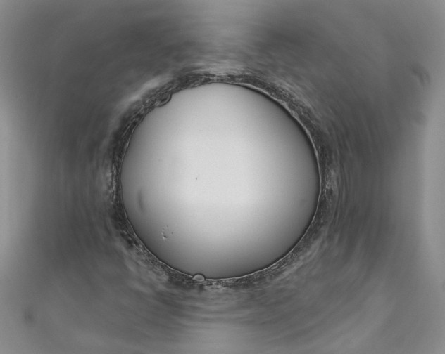X0000110901398200907021528