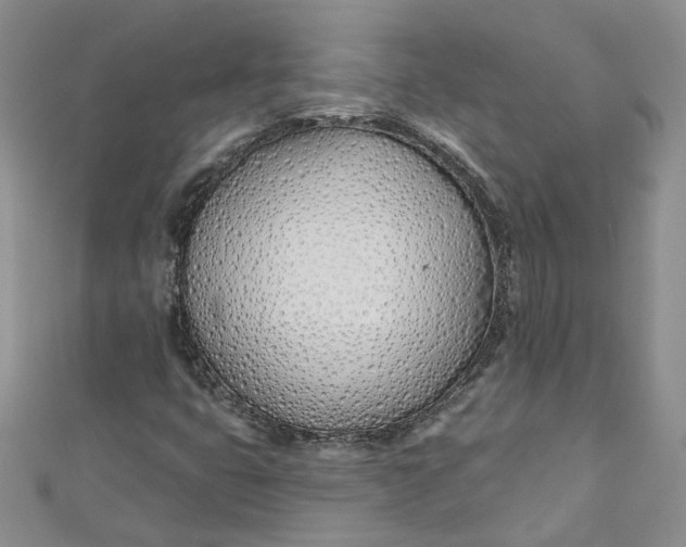 X0000110901399200907021528