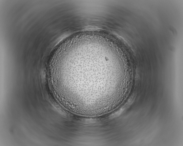 X0000110901401200907021528