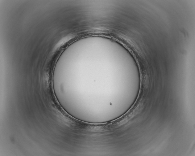 X0000110901402200907021528