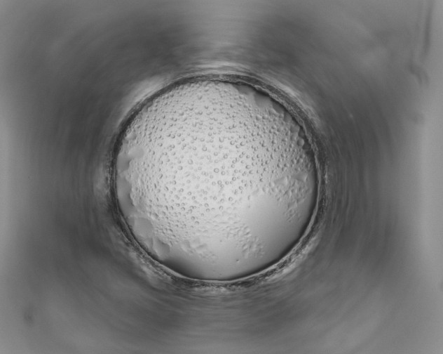 X0000110901405200907021528