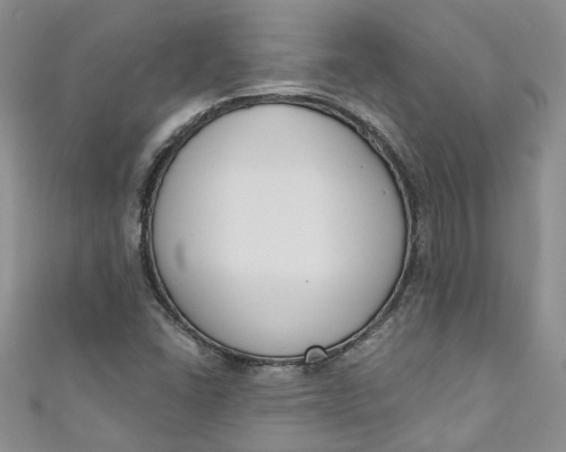 X0000110901406200907021528