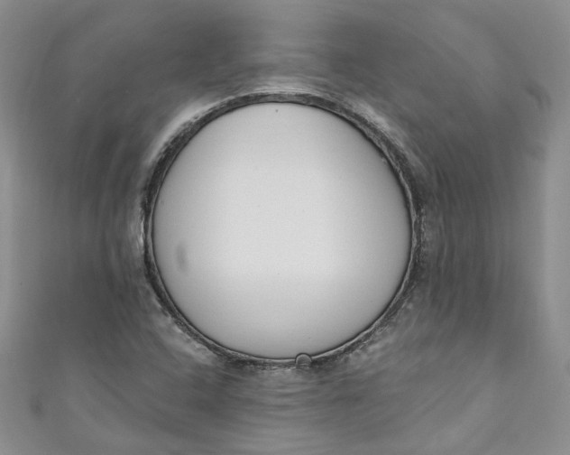 X0000110901408200907021528