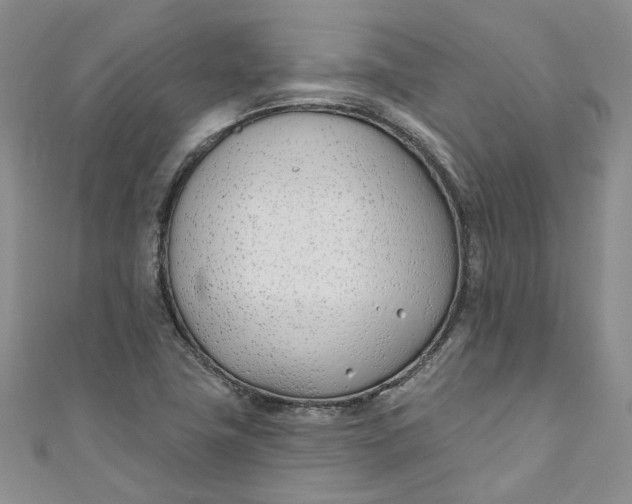 X0000110901411200907021528