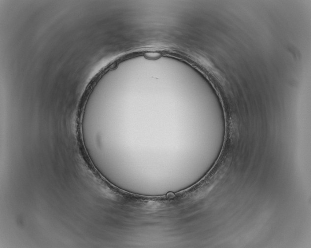 X0000110901412200907021528