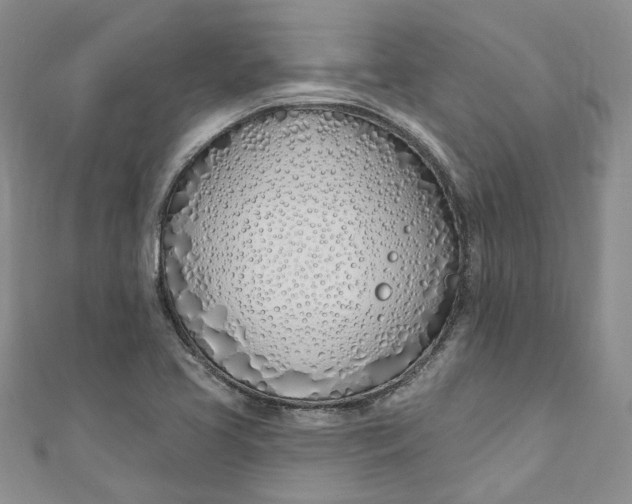 X0000110901413200907021528