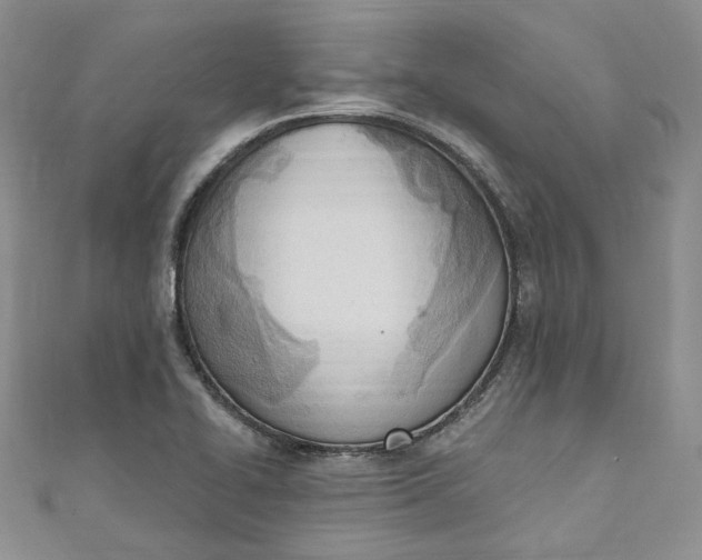 X0000110901414200907021528