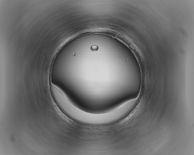 X0000110901417200907021528