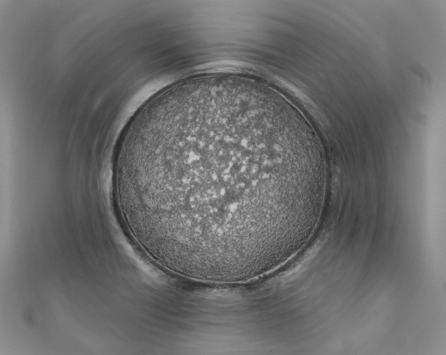 X0000110901418200907021528