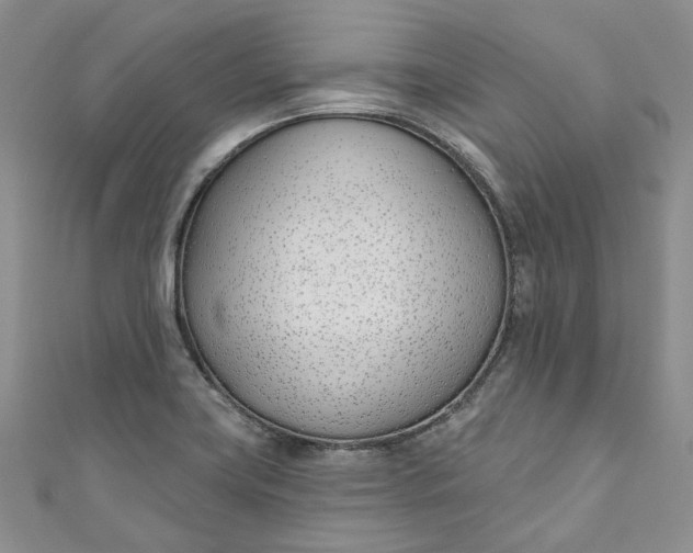 X0000110901419200907021528