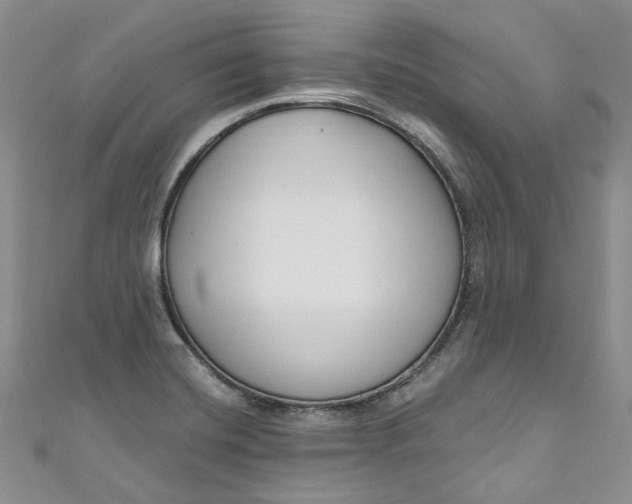 X0000110901420200907021528
