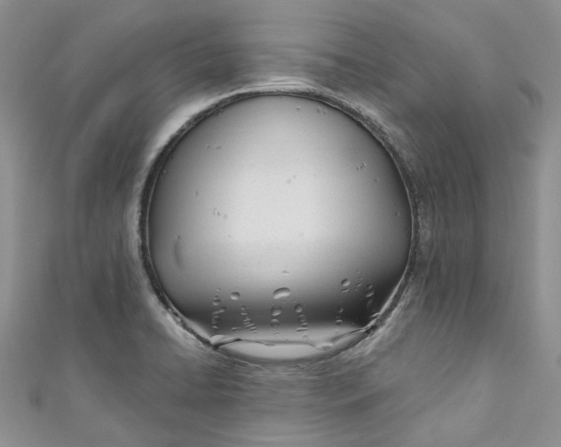 X0000110901422200907021528