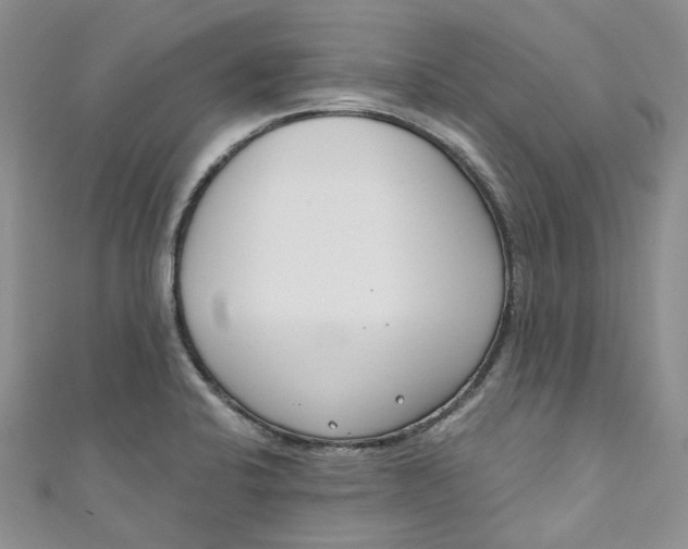 X0000110901424200907021528