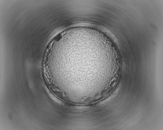 X0000110901425200907021528