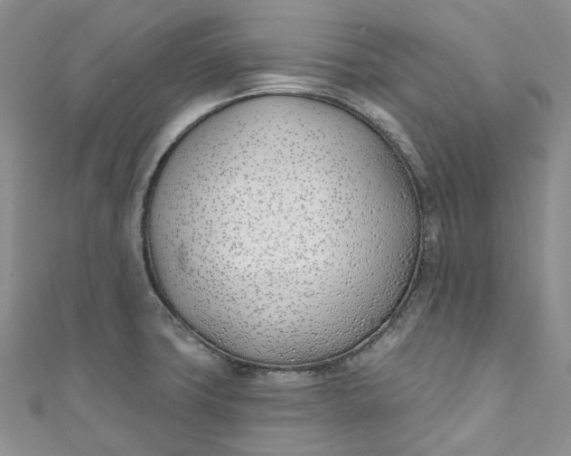 X0000110901427200907021528