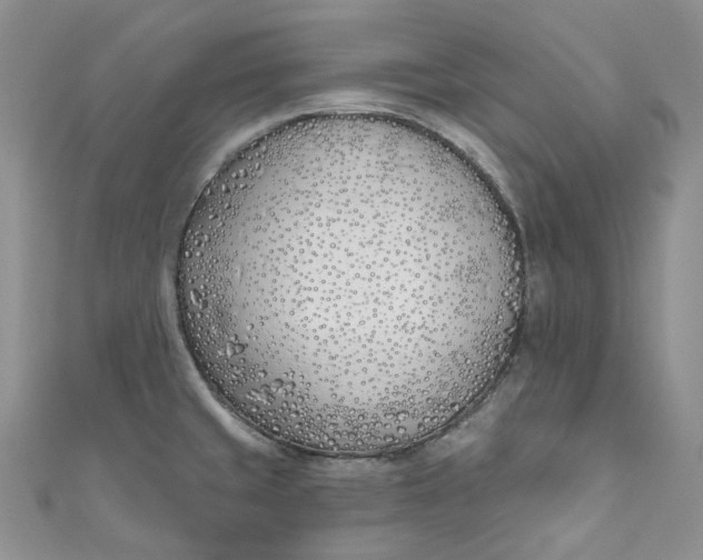X0000110901429200907021528
