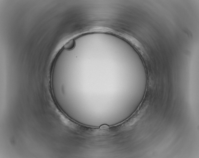 X0000110901430200907021528