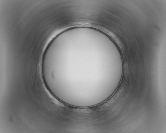 X0000110901432200907021528