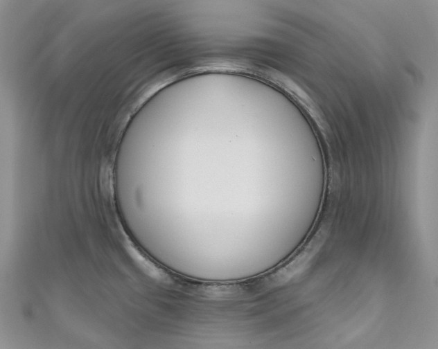 X0000110901433200907021528