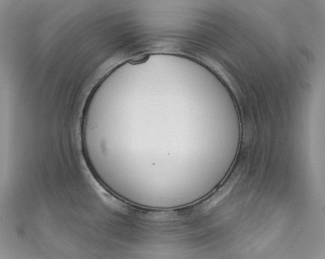 X0000110901434200907021528
