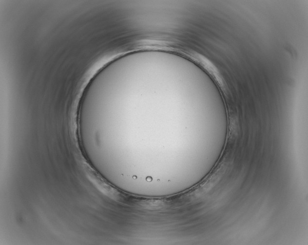 X0000110901435200907021528