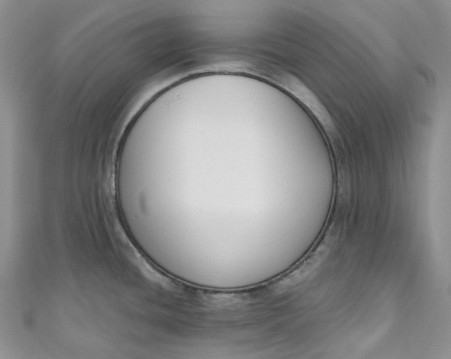 X0000110901436200907021528