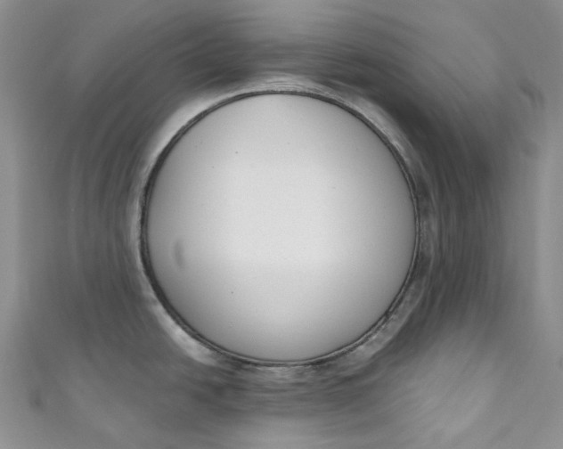 X0000110901438200907021528
