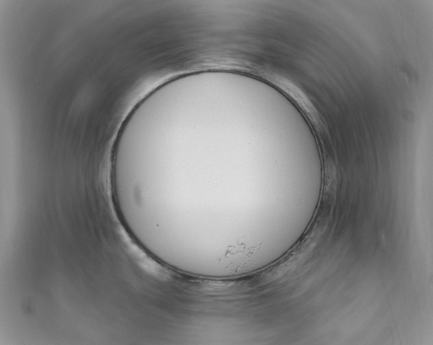 X0000110901439200907021528