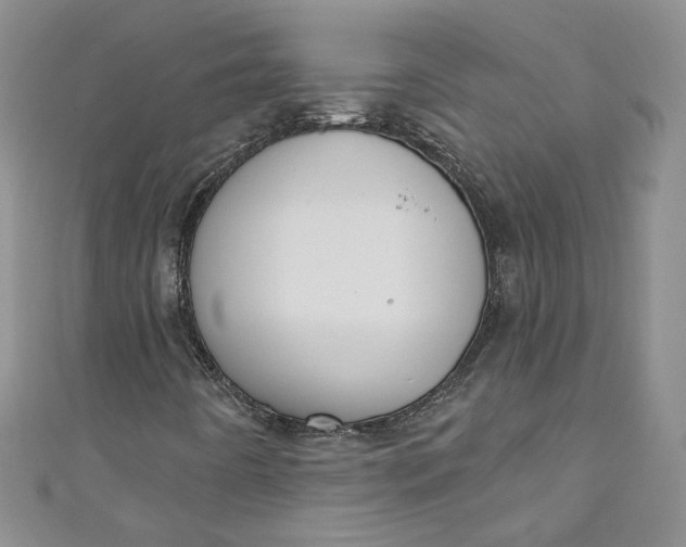 X0000110901442200907021528