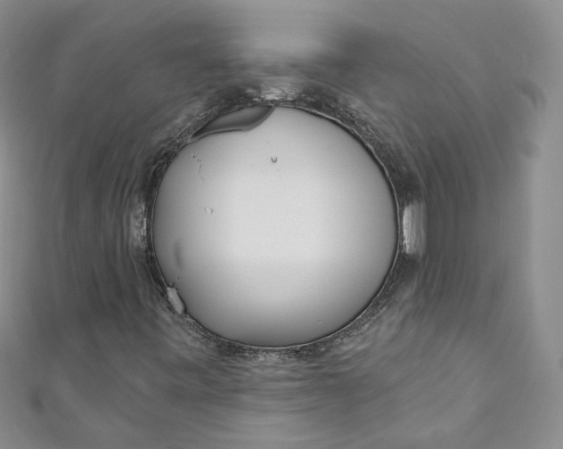 X0000110901443200907021528