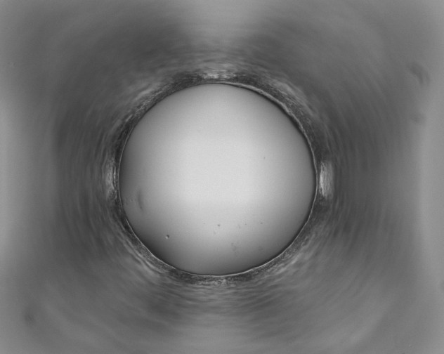 X0000110901444200907021528